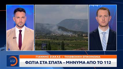 Φωτιά στα Σπάτα - Άμεση κινητοποίηση της πυροσβεστικής