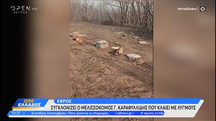 Έβρος: Συγκλονίζει μελισσοκόμος που κλαίει με λυγμούς