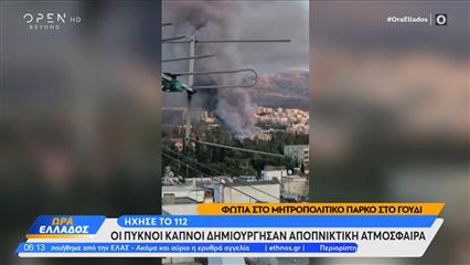 Φωτιά στο Μητροπολιτικό Πάρκο στο Γουδή