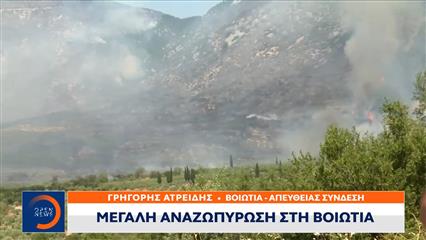 Μεγάλη αναζωπύρωση στη Βοιωτία