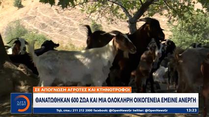 Θανατώθηκαν 600 ζώα και μια ολόκληρη οικογένεια έμεινε άνεργη