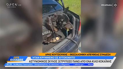 Αστυνομικός σκύλος βρήκε πάνω από ένα κιλό κοκαΐνης σε αυτοκίνητο