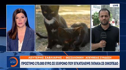Καλαμαριά: Πρόστιμο 270.000 ευρώ σε 55χρονο που εγκατέλειψε γατάκια σε οικόπεδο