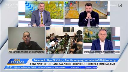 Συνεδρίαση της πανελλαδικής επιτροπής σήμερα στον Παλαμά