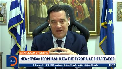 Νέα «πυρά» Γεωργιάδη κατά της Ευρωπαίας Εισαγγελέως