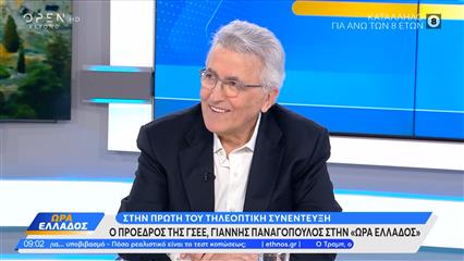 Γιάννης Παναγόπουλος: «Ήταν μια ενορχηστρωμένη επίθεση προς το πρόσωπο μου»