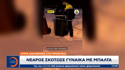 Δολοφονία στο Μπόντεν: Νεαρός σκότωσε γυναίκα με μπαλτά