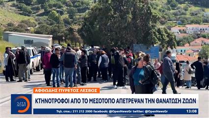 Αφθώδης πυρετός Λέσβος: Κτηνοτρόφοι από το Μεσότοπο απέτρεψαν τη θανάτωση ζώων
