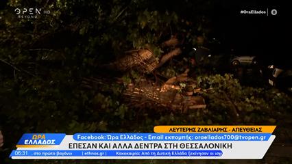 Θεσσαλονίκη: Έπεσαν και άλλα δέντρα