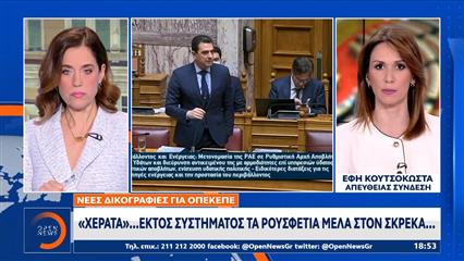 Σκρέκας: Πιο «βαριά» η περίπτωση του πρώην γραμματέα της ΝΔ