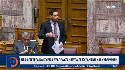Φραστικό επεισόδιο Κυρανάκη-Πέρκα στη Βουλή