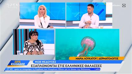 Έξαρση στις μωβ μέδουσες στις παραλίες της χώρας