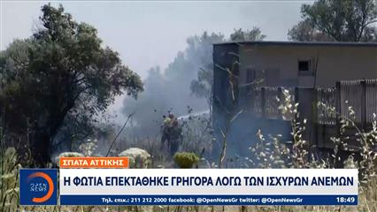 Σπάτα: Κινητοποιήθηκαν μεγάλες δυνάμεις της πυροσβεστικής για την κατάσβεση