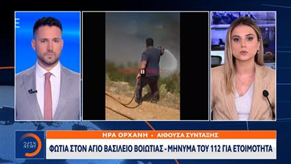 Φωτιά στον Άγιο Βασίλειο Βοιωτίας - Μήνυμα του 112 για ετοιμότητα