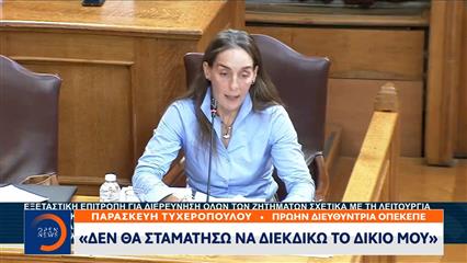 Π.Τυχεροπούλου:Σήμερα εκδικάστηκε η αγωγή της κατά του οργανισμού