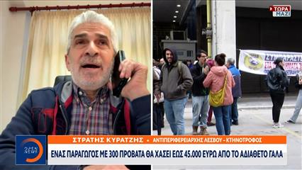 Λέσβος-Κτηνοτρόφοι: Άκαρπη η συνάντηση στο υπουργείο Αγροτικής Ανάπτυξης