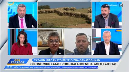 Οικονομική καταστροφή και απόγνωση λόγω ευλογιάς