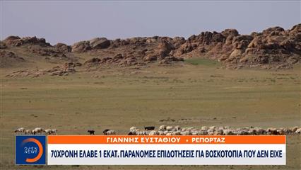 ΟΠΕΚΕΠΕ: Συγκλονιστικά στοιχεία αποκάλυψε το OPEN για την 70χρονη που πήρε παράνομες επιδοτήσεις