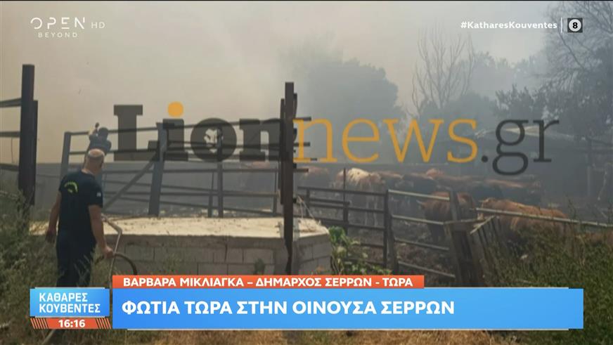Τελευταία εξέλιξη: Φωτιά στην Οινόουσα Σερρών